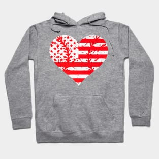 4th Of July Baseball American Flag Hearts Women Men Premium Hoodie